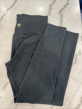 Aritzia Golden Leggings